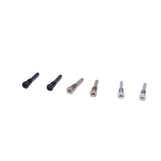Ersatz für 2X iPhone 11 Pro Max A2161 Pentalobe Schrauben Schraubensatz Screws Set
